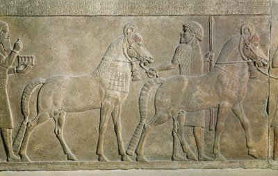 Relief depicting the tributaries of Sargon II, from the Palace of Sargon II at Khorsabad, Iraq by Assyrian